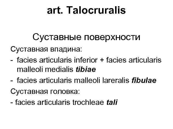 art. Talocruralis Суставные поверхности Суставная впадина: - facies articularis inferior + facies articularis malleoli