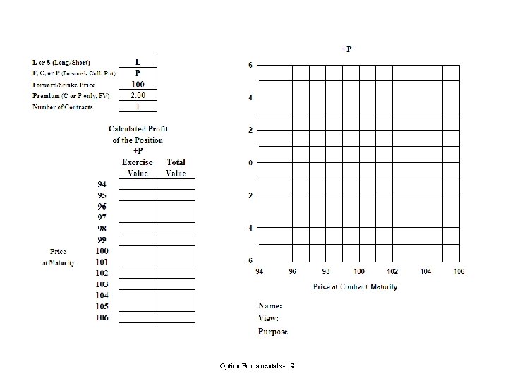 Option Fundamentals - 19 