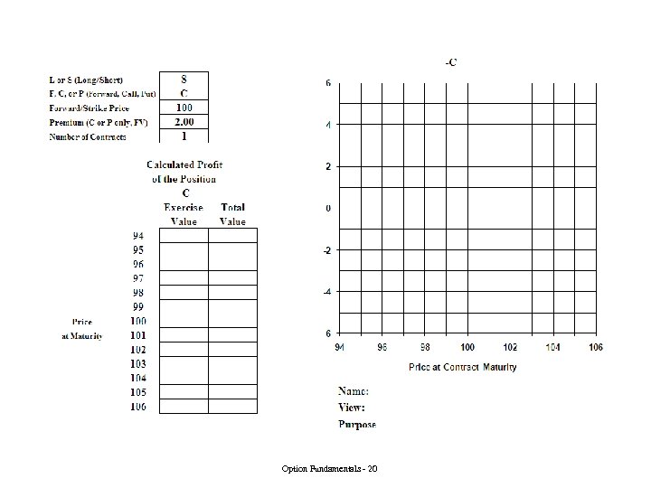 Option Fundamentals - 20 