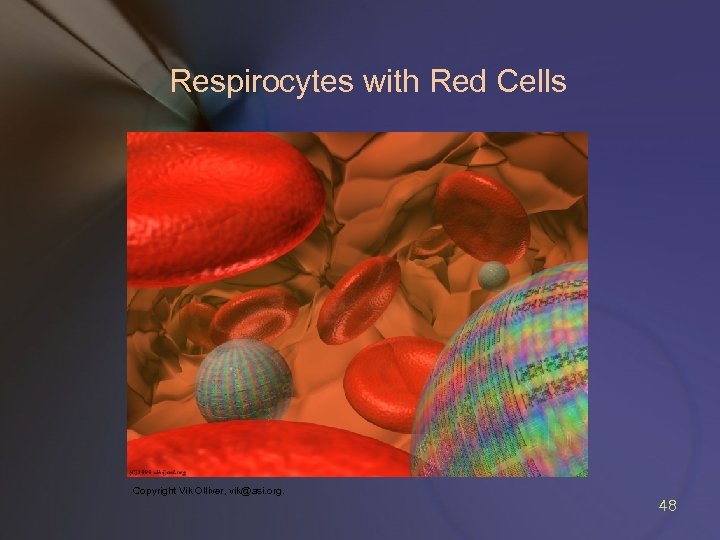 Respirocytes with Red Cells Copyright Vik Olliver, vik@asi. org. 48 