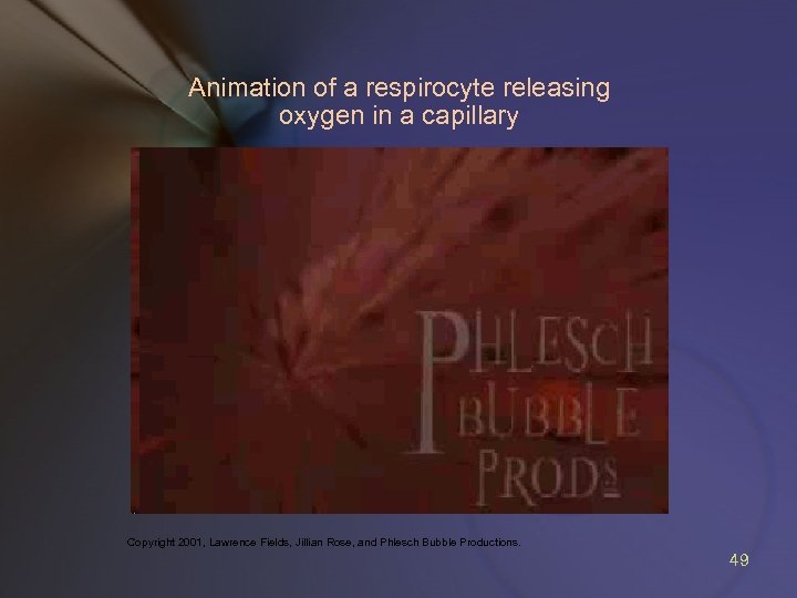 Animation of a respirocyte releasing oxygen in a capillary Copyright 2001, Lawrence Fields, Jillian
