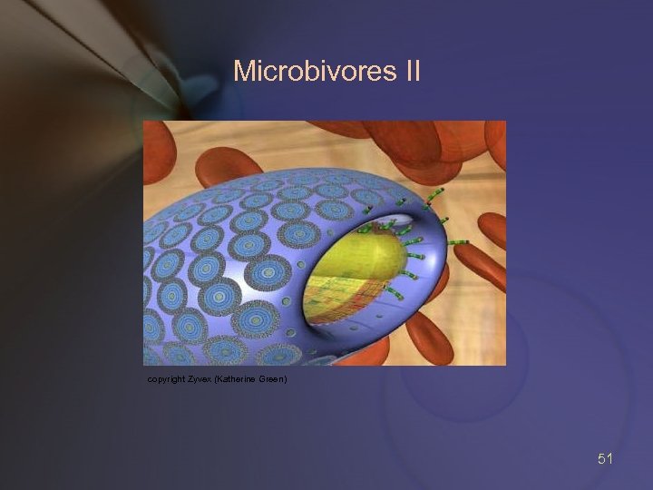 Microbivores II copyright Zyvex (Katherine Green) 51 