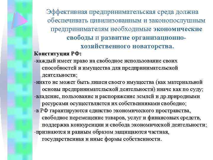 Эффективная предпринимательская среда должна обеспечивать цивилизованным и законопослушным предпринимателям необходимые экономические свободы и развитие