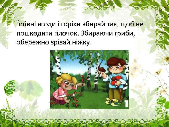 Їстівні ягоди і горіхи збирай так, щоб не пошкодити гілочок. Збираючи гриби, обережно зрізай