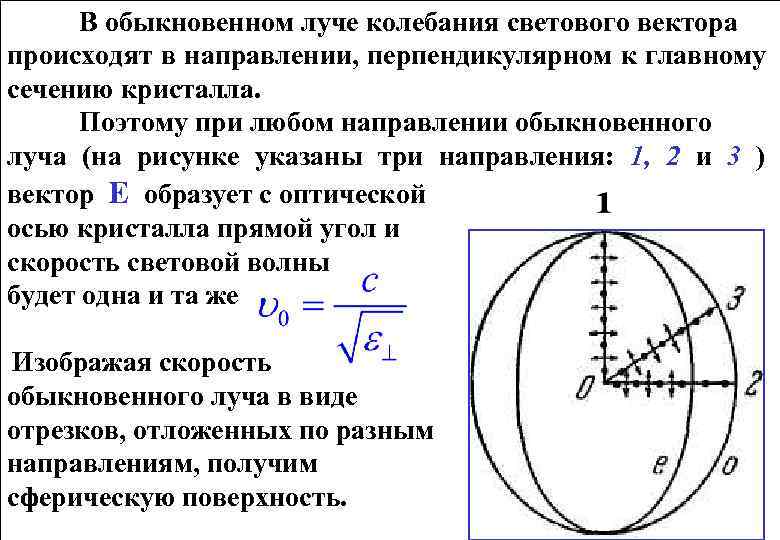 В обыкновенном луче колебания светового вектора происходят в направлении, перпендикулярном к главному сечению кристалла.