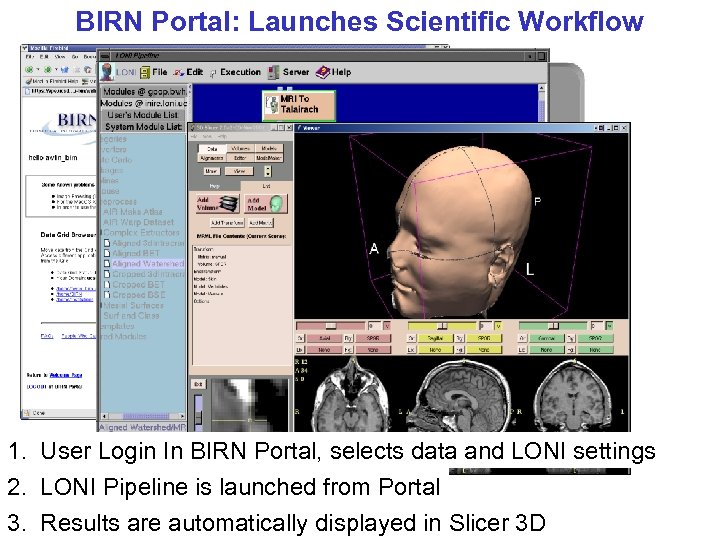 BIRN Portal: Launches Scientific Workflow 1. User Login In BIRN Portal, selects data and