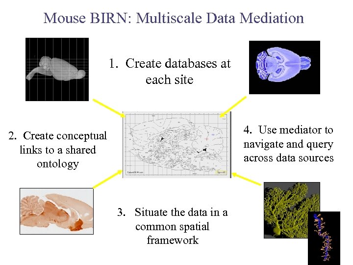 Mouse BIRN: Multiscale Data Mediation 1. Create databases at each site 4. Use mediator