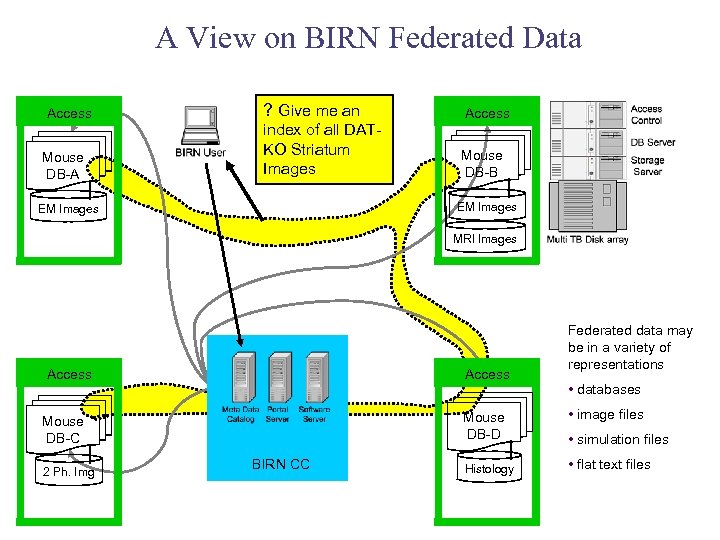 A View on BIRN Federated Data Access Mouse DB-A ? Give me an Access