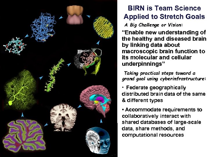 BIRN is Team Science Applied to Stretch Goals A Big Challenge or Vision: “Enable