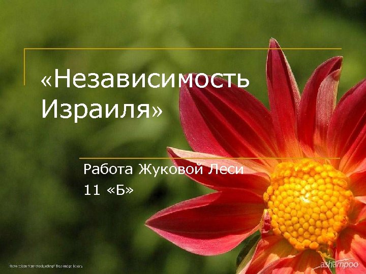  «Независимость Израиля» Работа Жуковой Леси 11 «Б» 