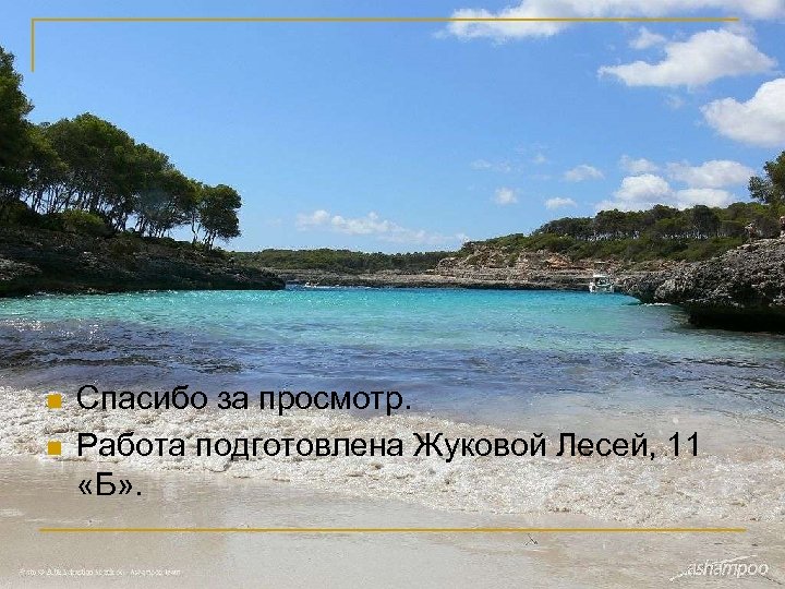 n n Спасибо за просмотр. Работа подготовлена Жуковой Лесей, 11 «Б» . 