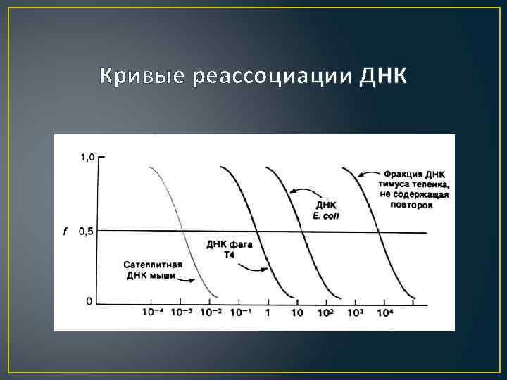 Кривые реассоциации ДНК 