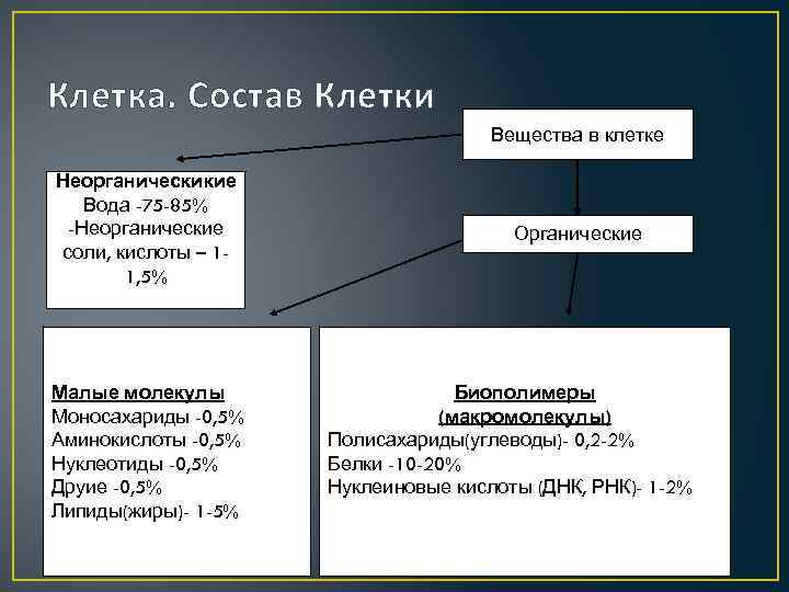 Клетка. Состав Клетки Вещества в клетке Неорганическикие Вода -75 -85% -Неорганические соли, кислоты –