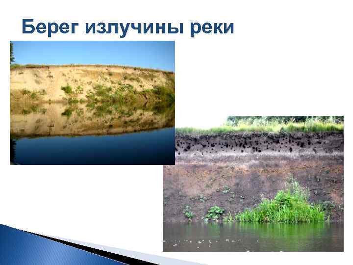 Берег излучины реки 