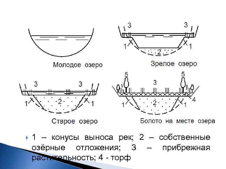  1 – конусы выноса рек; 2 – собственные озёрные отложения; 3 – прибрежная