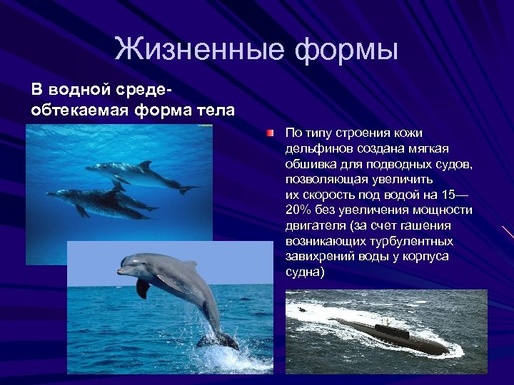 Жизненные формы В водной среде- обтекаемая форма тела По типу строения кожи дельфинов создана