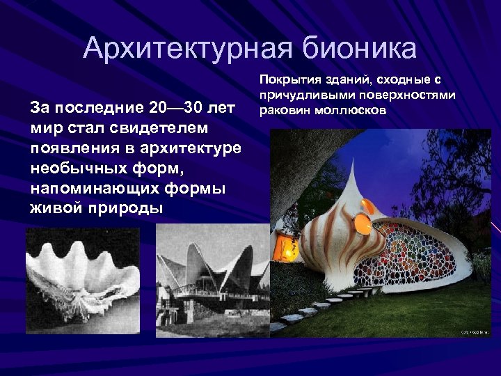 Архитектурная бионика За последние 20— 30 лет мир стал свидетелем появления в архитектуре необычных