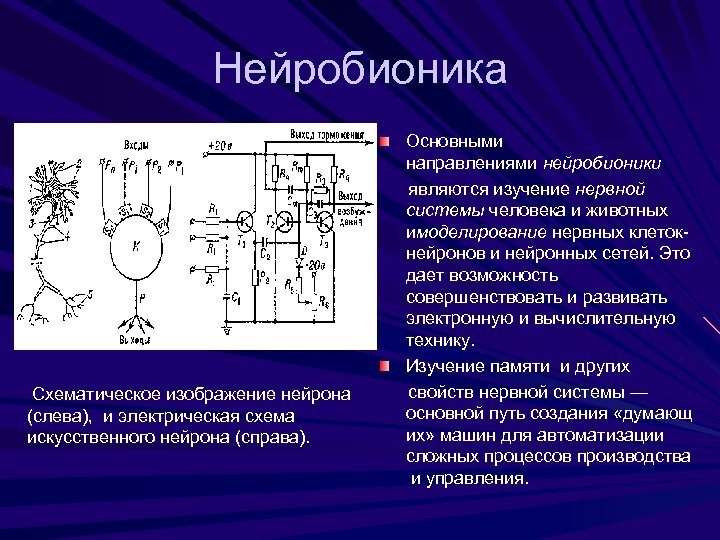 Нейробионика Схематическое изображение нейрона (слева), и электрическая схема искусственного нейрона (справа). Основными направлениями нейробионики