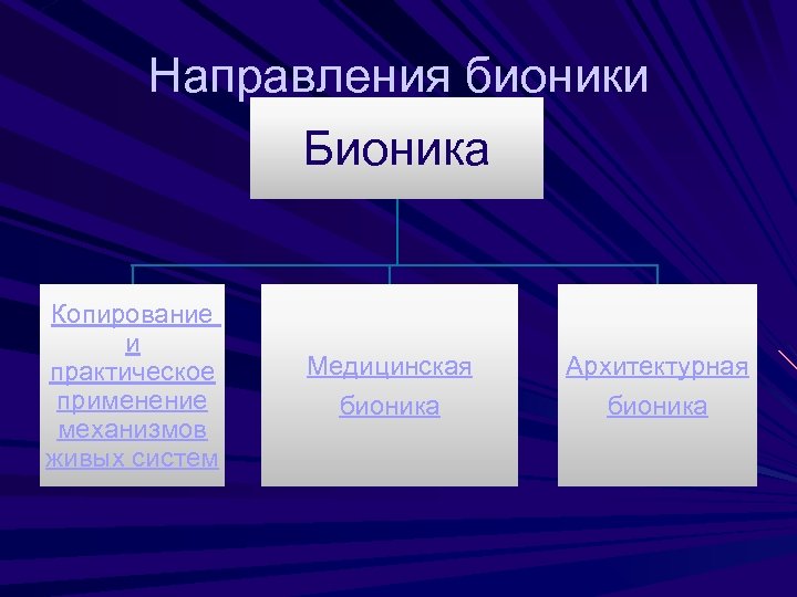 Направления бионики Бионика Копирование и практическое применение механизмов живых систем Медицинская бионика Архитектурная бионика