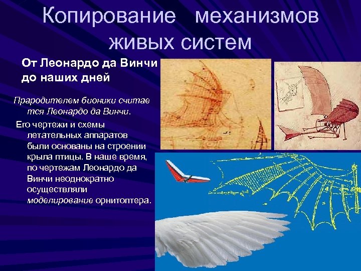 Копирование механизмов живых систем От Леонардо да Винчи до наших дней Прародителем бионики считае