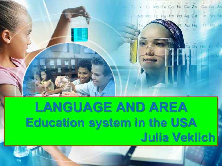 LANGUAGE AND AREA Education system in the USA Julia Veklich 