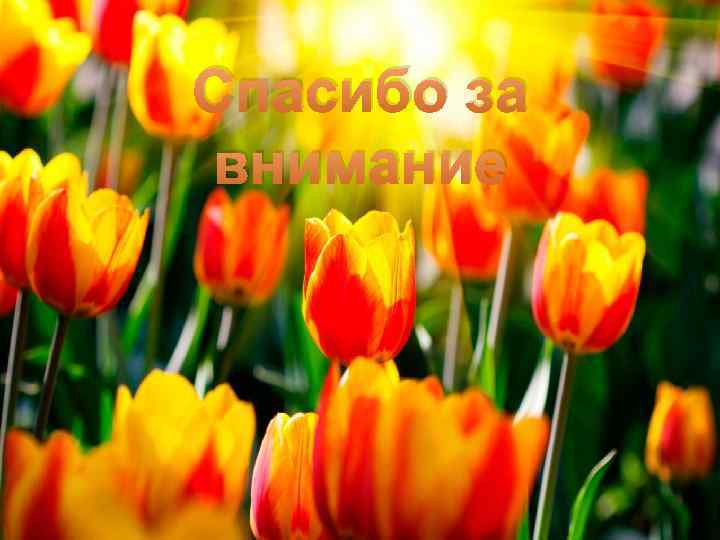 Спасибо за внимание 