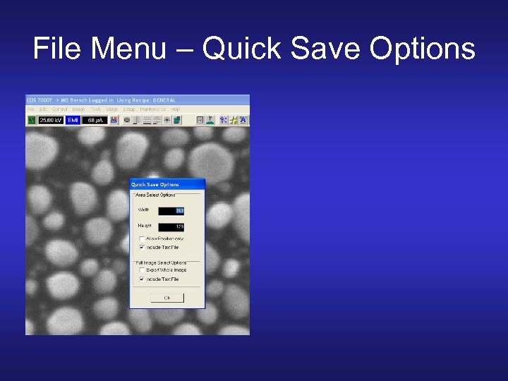 File Menu – Quick Save Options 