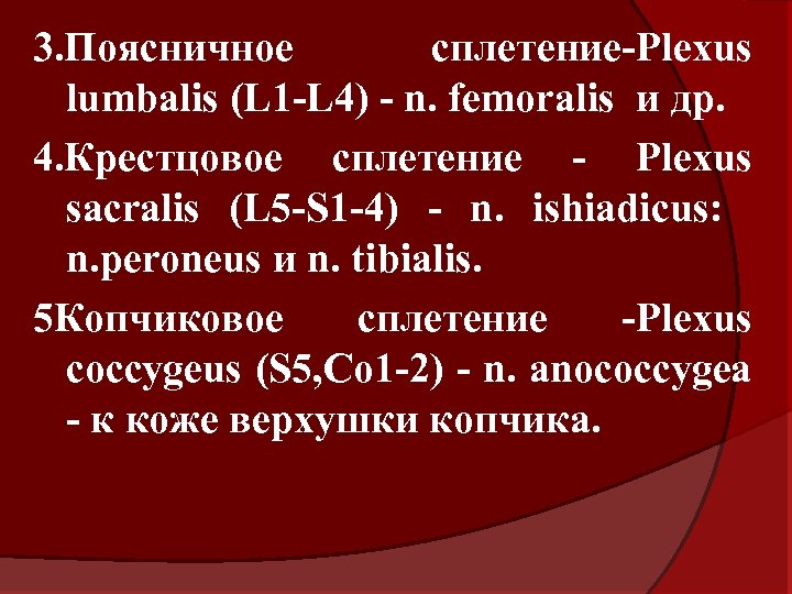 3. Поясничное сплетение-Plexus lumbalis (L 1 -L 4) - n. femoralis и др. 4.