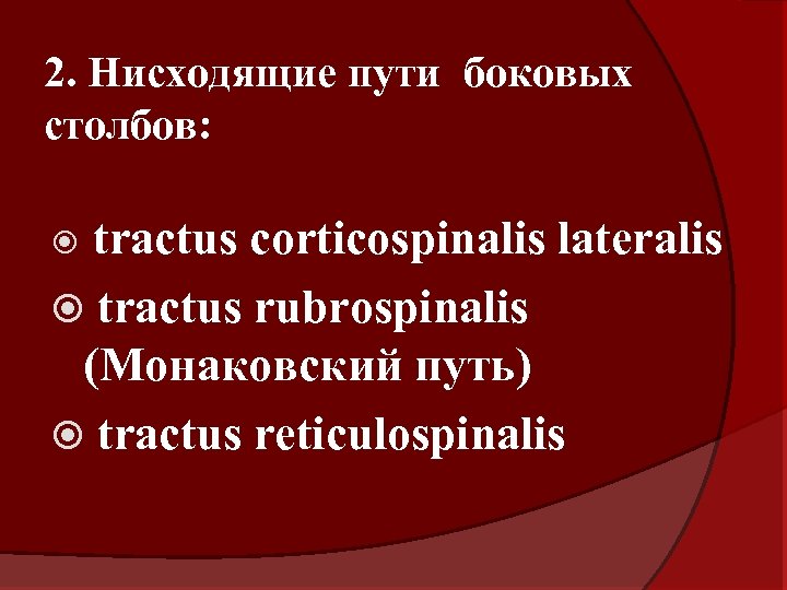 2. Нисходящие пути боковых столбов: tractus corticospinalis lateralis tractus rubrospinalis (Монаковский путь) tractus reticulospinalis