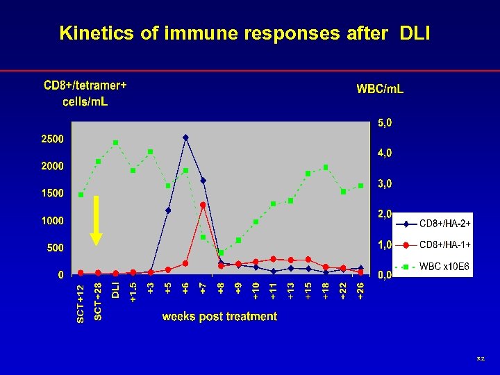 Kinetics of immune responses after DLI RZ 