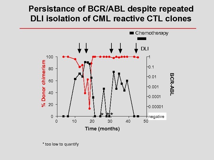 Persistance of BCR/ABL despite repeated DLI isolation of CML reactive CTL clones Chemotherapy DLI