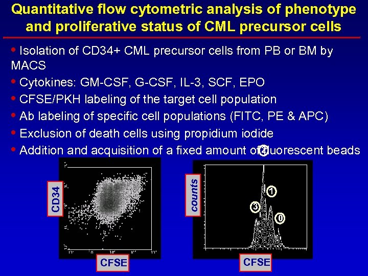 Quantitative flow cytometric analysis of phenotype and proliferative status of CML precursor cells •