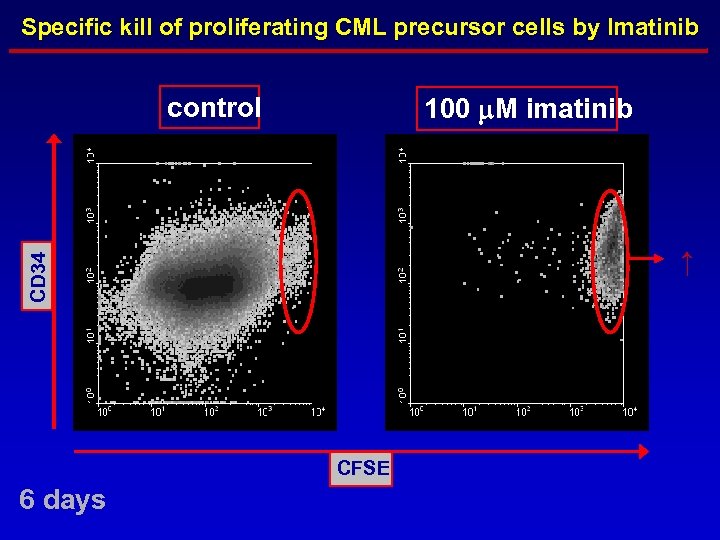 Specific kill of proliferating CML precursor cells by Imatinib control 100 m. M imatinib