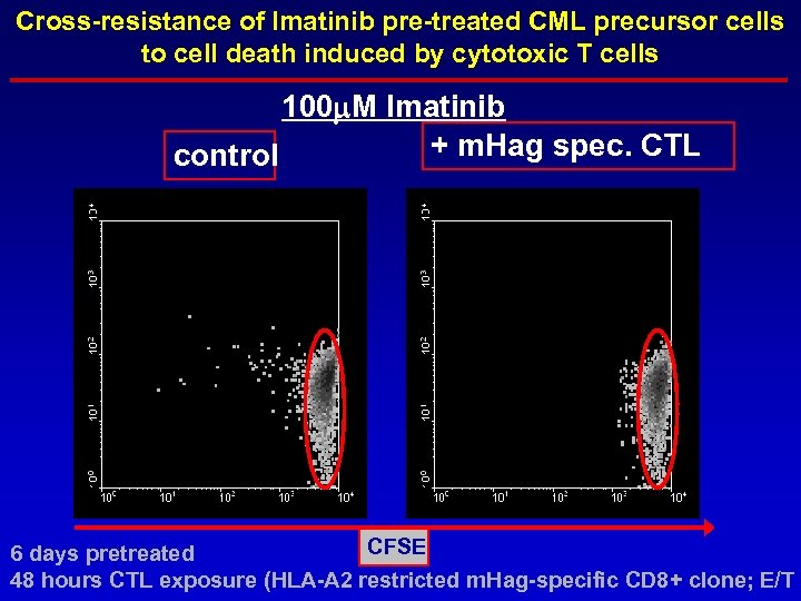 Cross-resistance of Imatinib pre-treated CML precursor cells to cell death induced by cytotoxic T