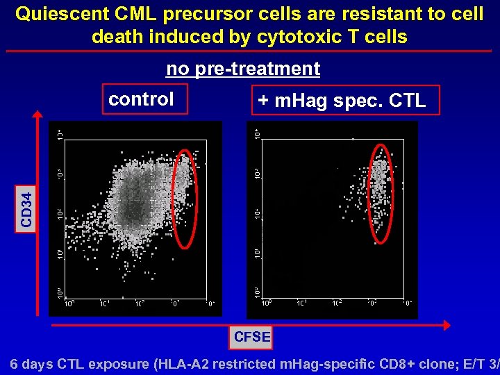 Quiescent CML precursor cells are resistant to cell death induced by cytotoxic T cells