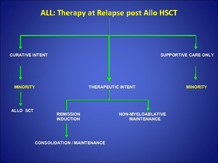 ALL: Therapy at Relapse post Allo HSCT CURATIVE INTENT SUPPORTIVE CARE ONLY MINORITY THERAPEUTIC