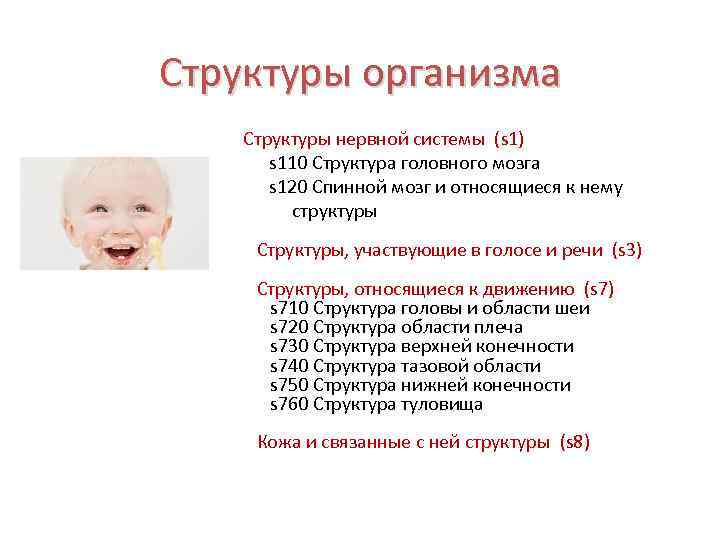 Структуры организма Структуры нервной системы (s 1) s 110 Структура головного мозга s 120