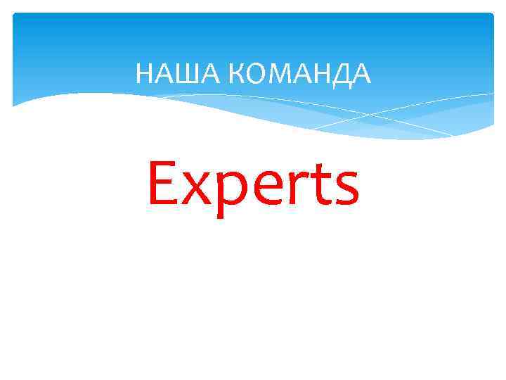 НАША КОМАНДА Experts 