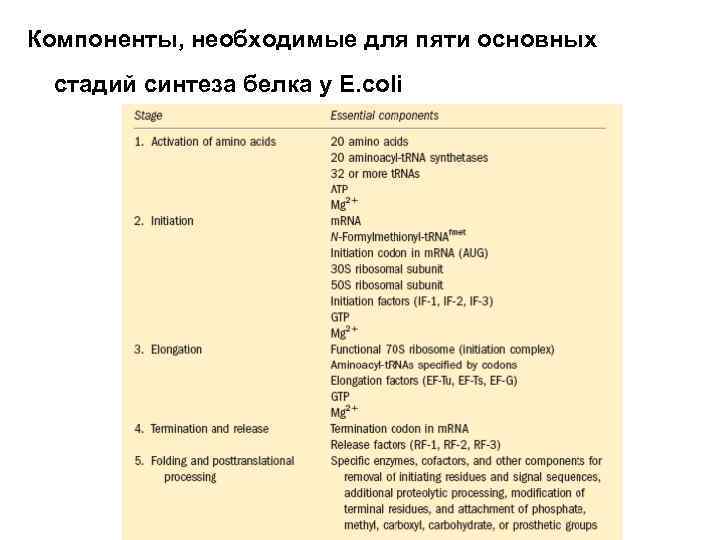 Компоненты, необходимые для пяти основных стадий синтеза белка у E. coli 