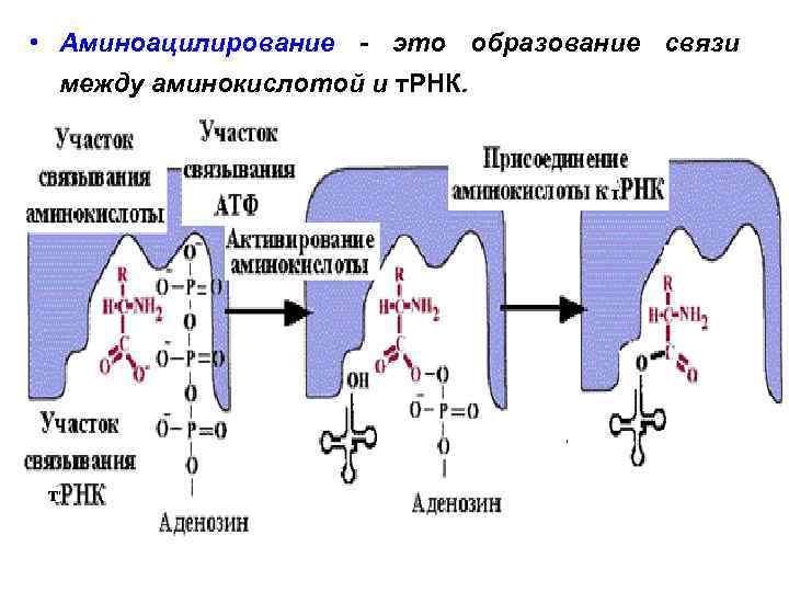 Ph3 схема образования связи