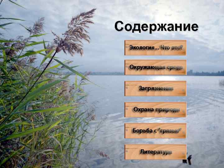 Содержание 