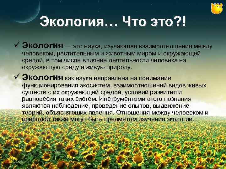 Экология… Что это? ! ü Экология — это наука, изучающая взаимоотношения между человеком, растительным