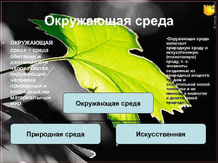 Окружающая среда • ОКРУЖАЮЩАЯ среда - среда обитания и деятельности человечества, окружающий человека природный