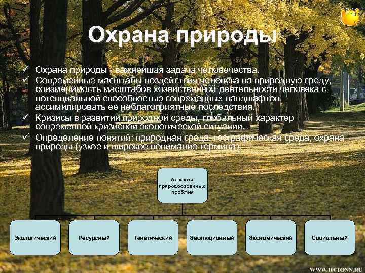 Охрана природы ü Охрана природы - важнейшая задача человечества. ü Современные масштабы воздействия человека