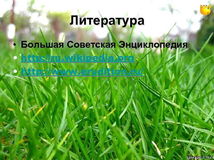 Литература • Большая Советская Энциклопедия • http: //ru. wikipedia. org • http: //www. erudition.