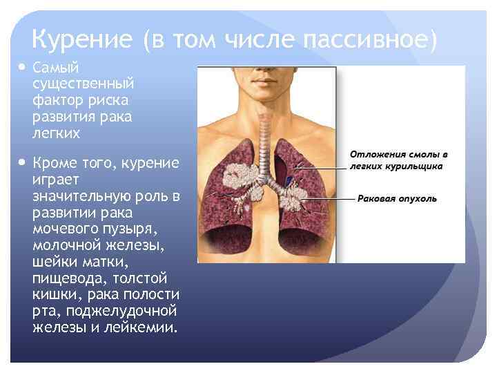 Курение (в том числе пассивное) Самый существенный фактор риска развития рака легких Кроме того,