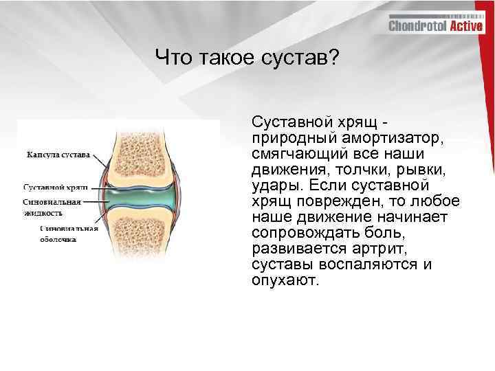 Что такое сустав? Суставной хрящ - природный амортизатор, смягчающий все наши движения, толчки, рывки,