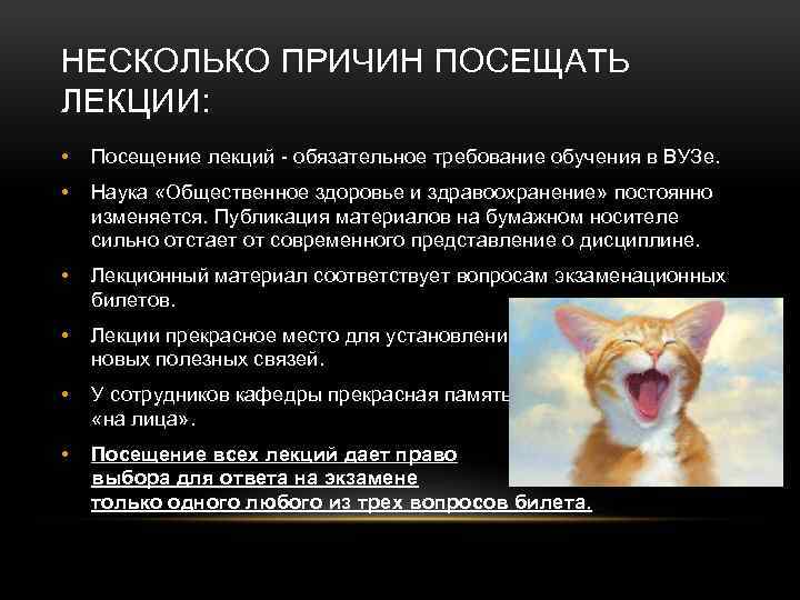 В какой части видеолекции обязательно должно присутствовать изображение лектора