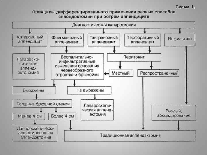 Спазмофилия патогенез схема