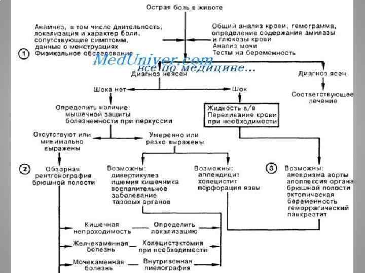 Заболевания брюшной полости